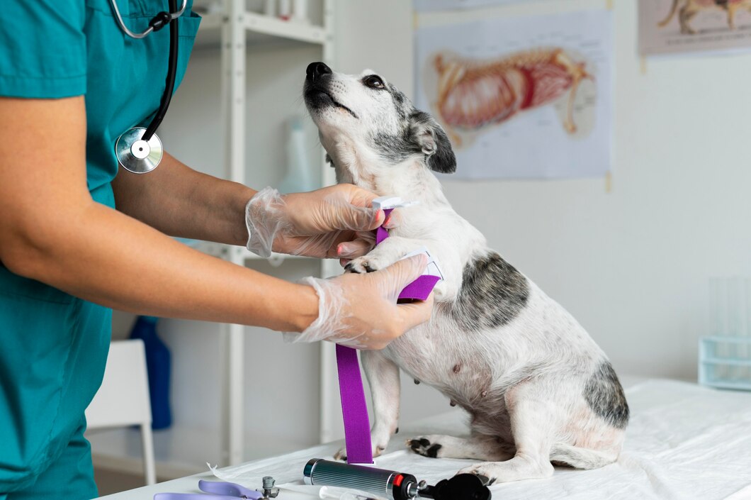 Proximamente Veterinaria